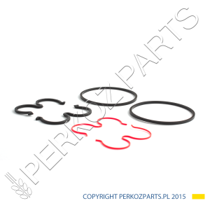 ZESTAW USZCZELEK POMPY HYDRAULICZNEJ NEW HOLLAND CASE STEYR 84607229 - 47847248