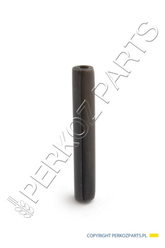 PerkozParts.pl - SWORZEŃ ROLKOWY NEW HOLLAND CASE CNH 87289001 - 9966118 - 9976118