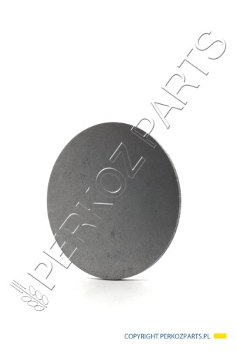 PerkozParts.pl - PODKŁADKA NEW HOLLAND CASE CNH 87406648 - 87406448