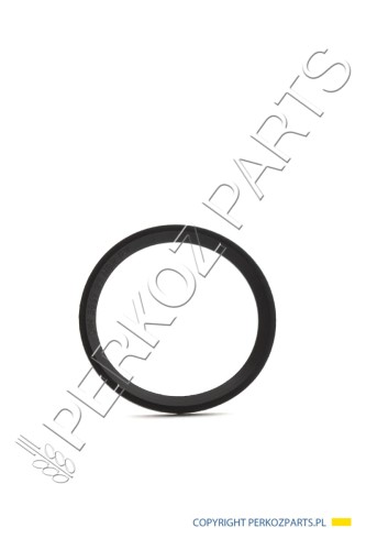 PerkozParts.pl - O-RING NEW HOLLAND CASE CNH 82019813