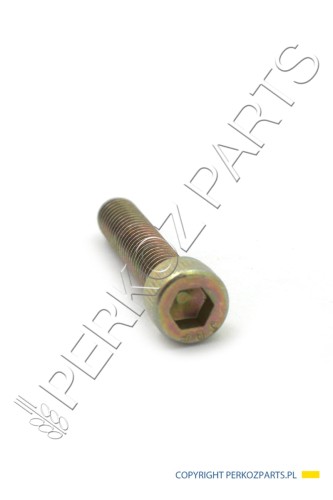 ŚRUBA NEW HOLLAND / CASE 83905941
