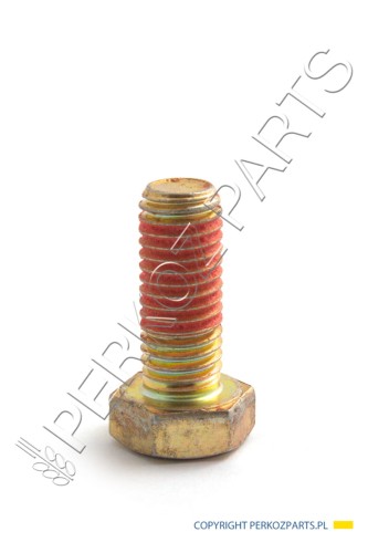PerkozParts.pl - ŚRUBA NEW HOLLAND CASE CNH 385376 - 80385376 - 73170177