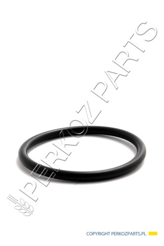 PerkozParts.pl -  USZCZELKA NEW HOLLAND CASE CNH 153310362