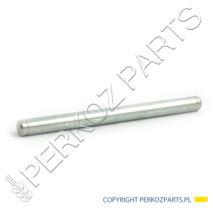 SWORZEŃ M7.6X100 ZAWIASU DRZWI 83994405