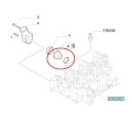 Termostat silnika New Holland CASE STEYR 2858050 - 84383461 - 504384724 - PerkozParts.pl - 4
