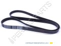 PerkozParts.pl - PASEK WIELOKLINOWY NEW HOLLAND CNH 87403145 - 87441267