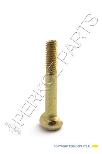 PerkozParts.pl - ŚRUBA NEW HOLLAND CASE CNH 87642989 - 80130891 - 130891