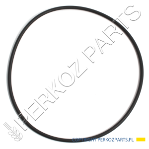 O-RING OBUDOWY FILTRA 190003121062