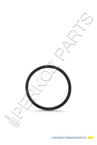 O-RING NEW HOLLAND CASE CNH 84197601 - 47546784 - 28532