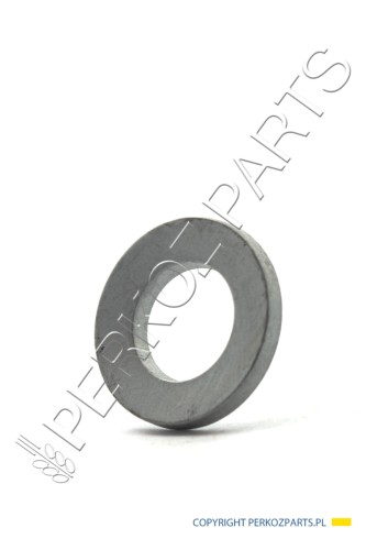 PerkozParts.pl - Podkładka New Holland / Case 11190574 - 17090174