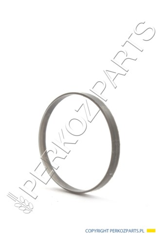 PerkozParts.pl - Pierścień New Holland / Case 5146466