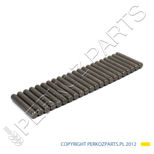 ŁOŻYSKO IGIEŁKOWE KÓŁ PLANETARNYCH NEW HOLLAND CASE 5145492
