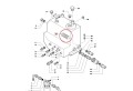 PerkozParts.pl - 84497564