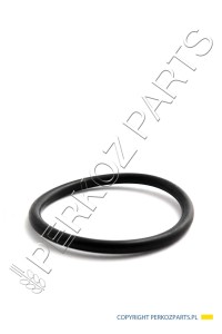 ORING NEW HOLLAND CASE CNH 181144A1  28623
