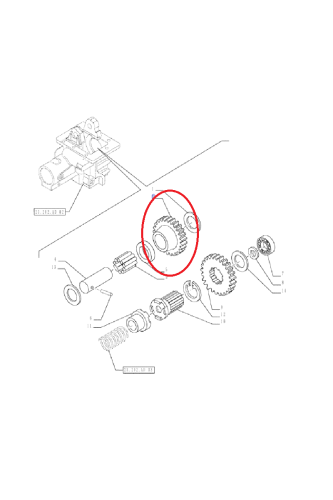 PerkozParts.pl - Koło zębate przekładni New Holland CNH 84336754