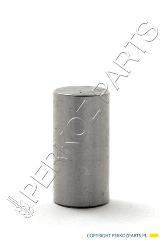 PerkozParts.pl - SWORZEŃ NEW HOLLAND / CASE 80280651 - 280651