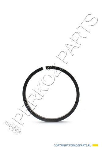 Pierścień New Holland CNH 5185502 - 5148104 - 2 - PerkozParts.pl