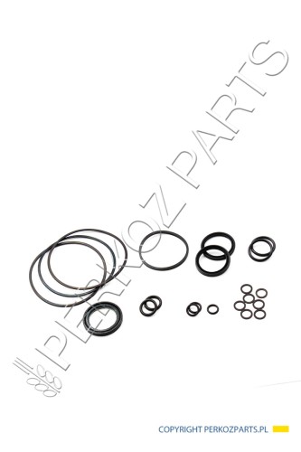 Zestaw uszczelek hydromotoru New Holland CNH 9807617 - 89807617