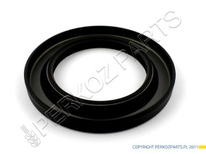 USZCZELNIACZ 65X100X10 060.068.002