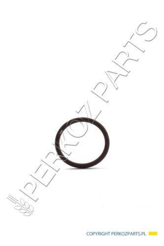 PerkozParts.pl - O-ring New Holland CNH 14457781