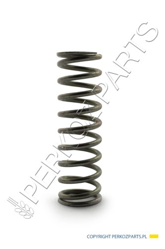 PerkozParts.pl - SPRĘŻYNA NEW HOLLAND CASE 84814911 - 80180113 - 180113