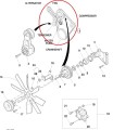 PerkozParts.pl - 86011009