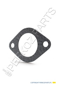 Uszczelka New Holland CNH 98412227 - 76031327 - 4579771 - 153624607
