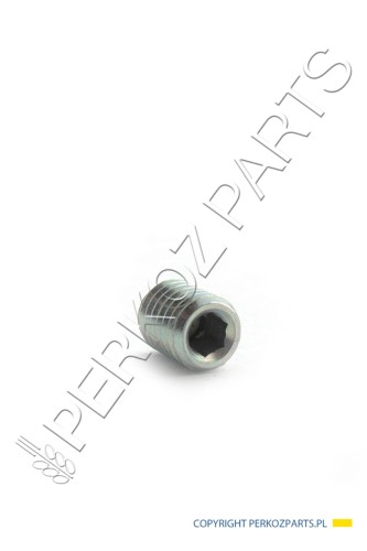 PerkozParts.pl - Śruba New Holland CNH 5166873 M8 x 10mm