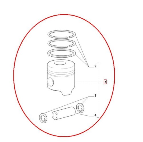 PerkozParts.pl - 1931002