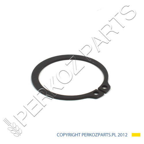 PerkozParts.pl - Pierścień New Holland 11487