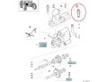 PerkozParts.pl - 82025340