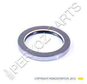 USZCZELNIACZ ZWOLNICY NEW HOLLAND CASE 5135387