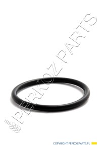 USZCZELKA NEW HOLLAND CASE CNH 153310362