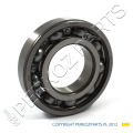 PerkozParts.pl - Łożysko New Holland 20915780