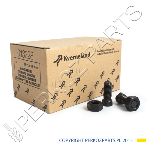 Śruba zamkowa do dłut Kverneland KK013228