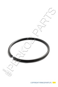 Pierścień zabezpieczający New Holland CNH 5153351