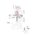 PerkozParts.pl - 87569391